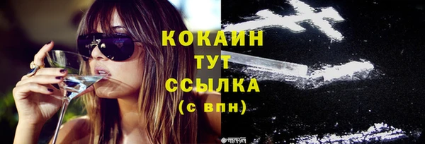 соль ск Нея