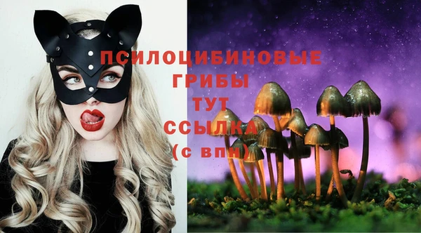 соль ск Нея
