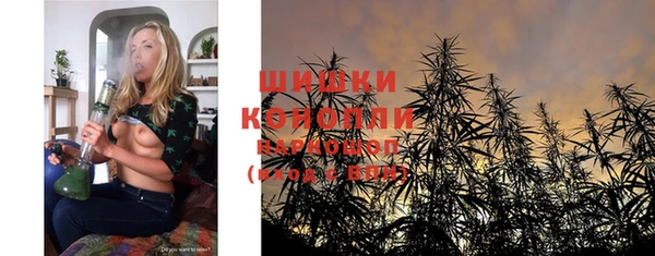 соль ск Нея