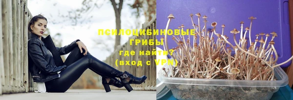 соль ск Нея