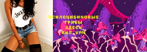соль ск Нея