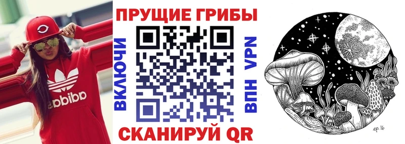 Купить где  Коряжма  Псилоцибиновые грибы Magic Shrooms 